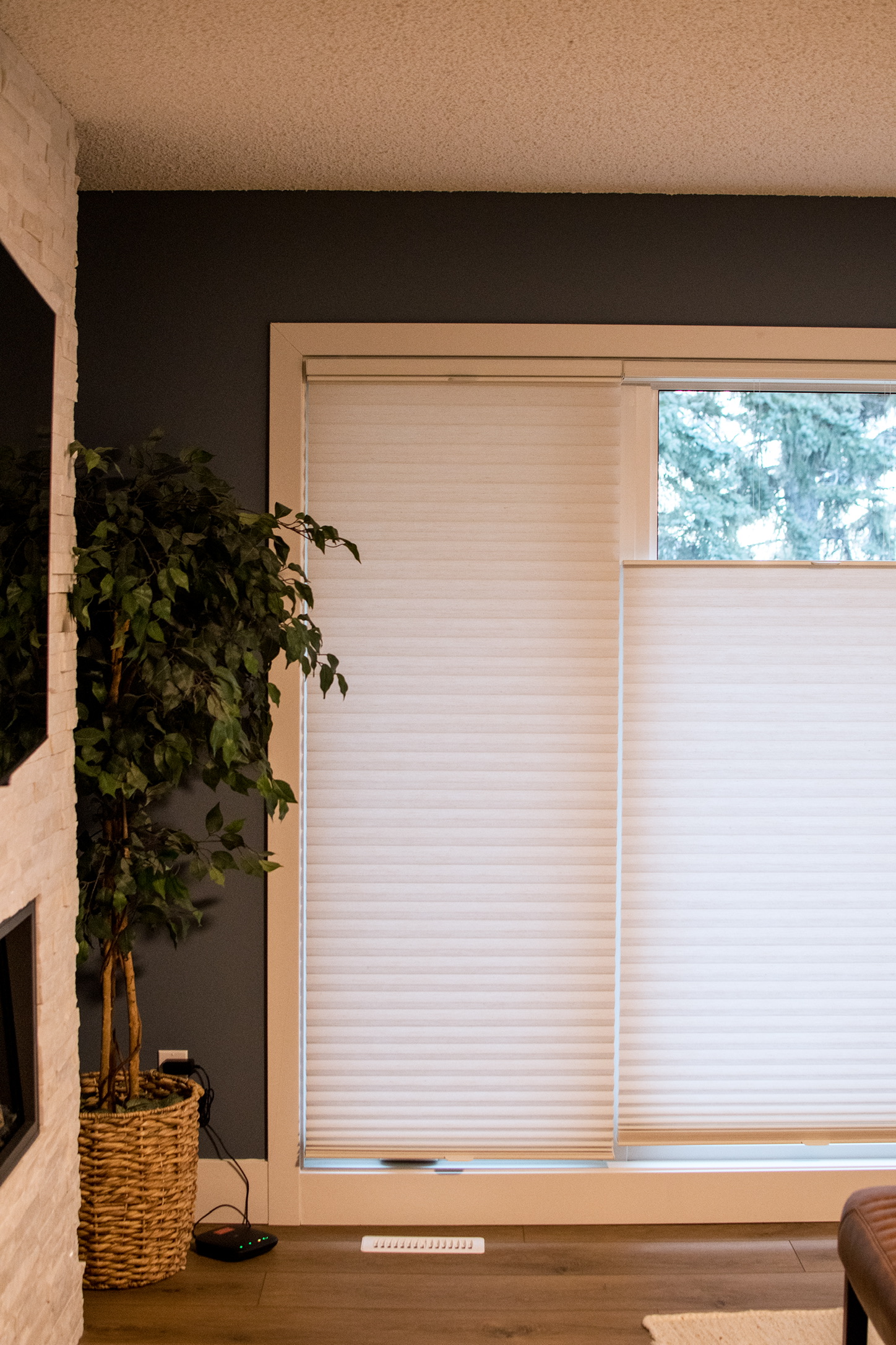 2166EC43-3818-4387-915F-CFB0C7A355F6_1_102_o