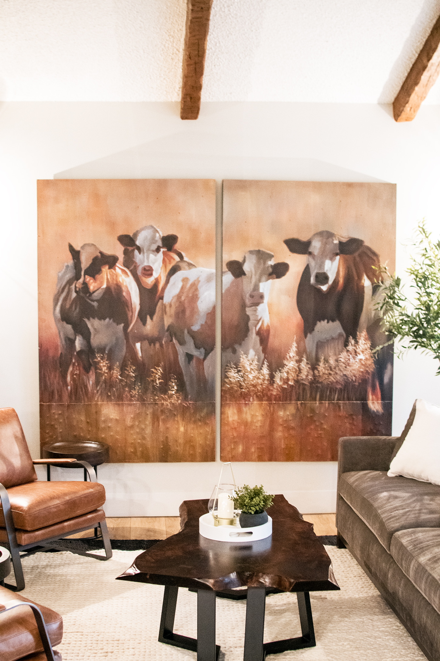 8007BF44-B835-4950-A9AF-37FB71A371AF_1_102_o